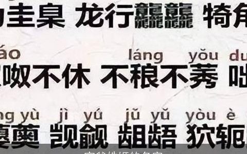 宝爸姓姬的名字