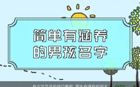 有文学气息的微信昵称 男生有逼格的网名大全 新颖有涵养的微信昵称男生网名名字