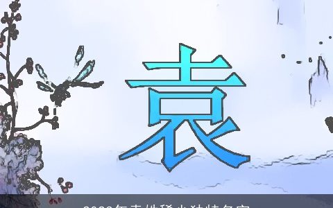 2023年袁姓稀少独特名字