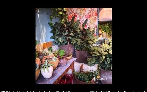 吸引人的店铺名字大全 繁花似锦 2024霸气好听的店铺名字大全