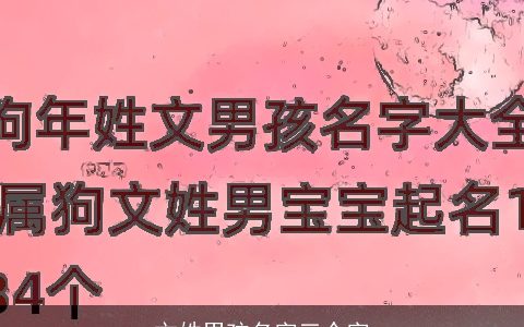 文姓男孩名字三个字