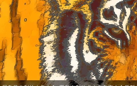 属兔最吉利的小名大全 霸气吉利的虎小名名字大全最新