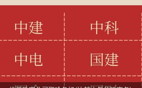 注册珠宝公司取啥名好(比较大气的珠宝名)