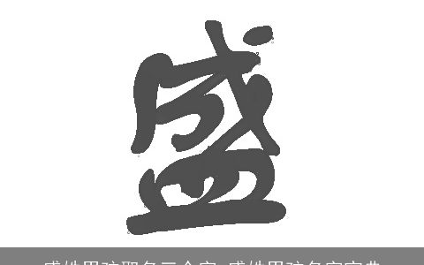 盛姓男孩取名三个字 盛姓男孩名字宝典