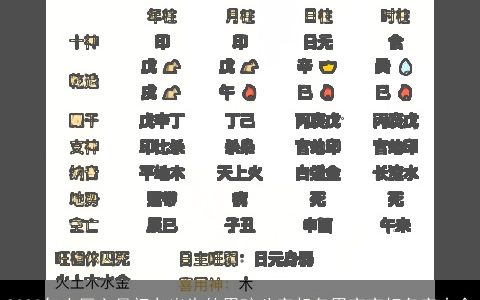 2023年农历六月初九出生的男孩八字起名男宝宝好名字大全