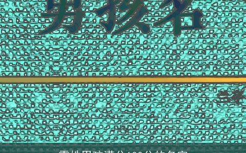 雷姓男孩满分100分的名字