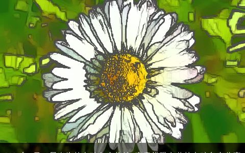 2024年4月10日出生的女孩名字集锦 高贵优雅文艺的女孩名字分享