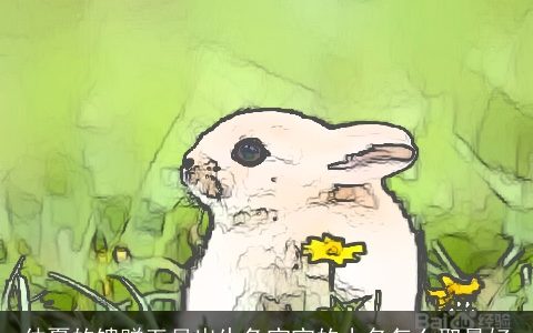 仲夏的馈赠五月出生兔宝宝的小名怎么取最好