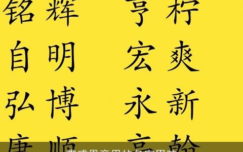 带感恩意思的名字男孩