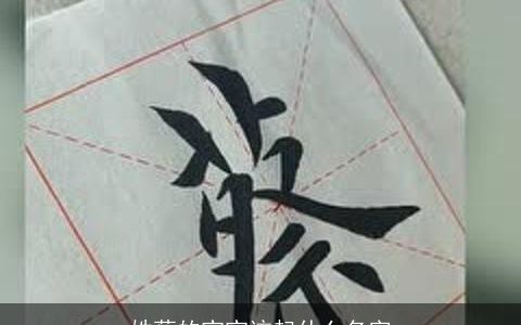 姓蔡的宝宝该起什么名字