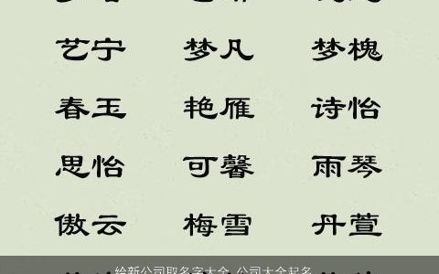 给新公司取名字大全 公司大全起名大全几个字 好听吉祥的公司公司名字