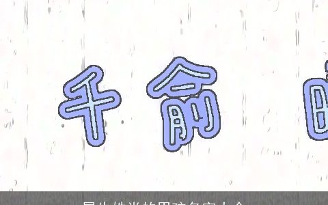 属龙姓肖的男孩名字大全