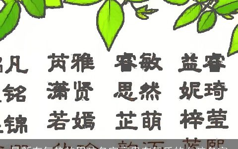最新有气势的男孩名字高贵有气质的女孩名字