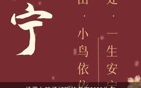 姓董女孩子好听的名字2023牛年