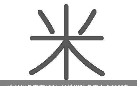 姓米的名字有哪些 米姓男孩名字大全2023款