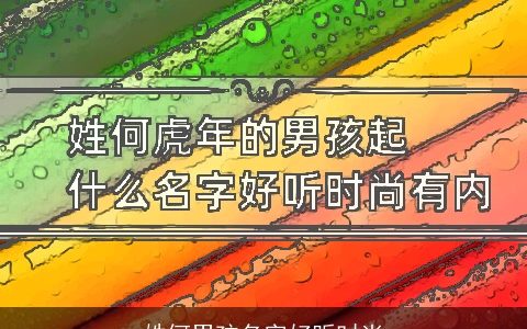 姓何男孩名字好听时尚