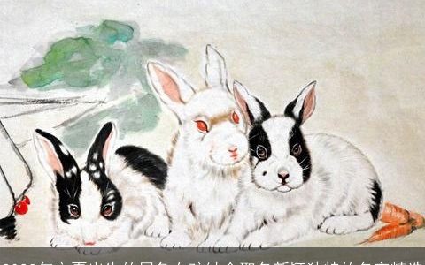 2024年立夏出生的属兔女孩缺金取名新颖独特的名字精选