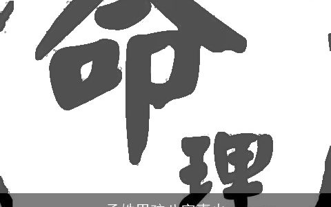 孟姓男孩八字喜火