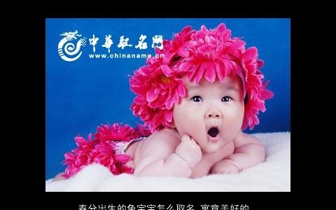 春分出生的兔宝宝怎么取名 寓意美好的名字大全推荐 新颖寓意的兔宝宝名字最新