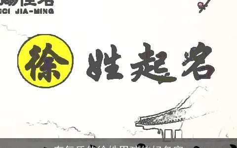 有气质的徐姓男孩的好名字