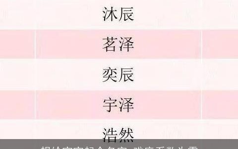 想给宝宝起个名字 难度系数为零