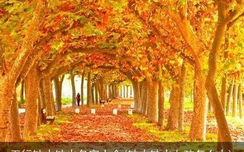 五行缺木缺火名字大全(缺木缺火女孩怎么办)