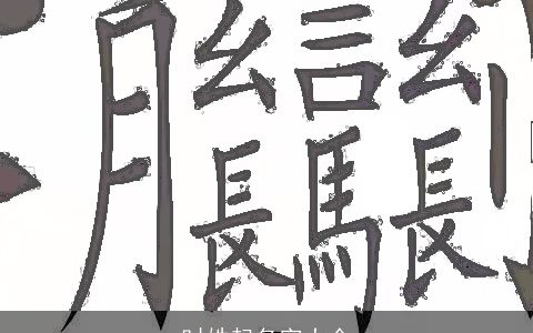 时姓起名字大全