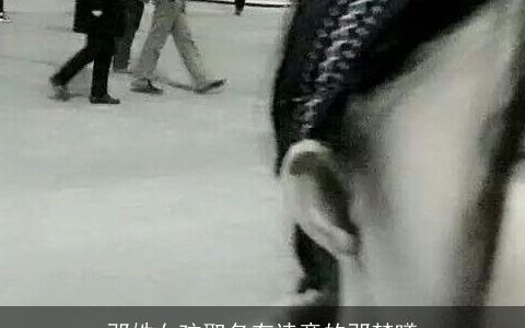 邓姓女孩取名有诗意的邓梦曦