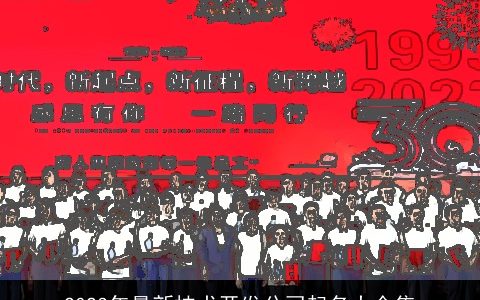 2024年最新技术开发公司起名大全集