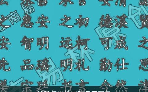 2023年段姓男孩名字霸气