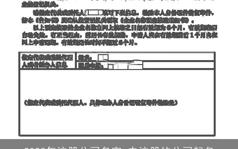 2024年注册公司名字 未注册的公司起名