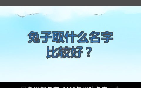 属兔男起名字 2024年男孩名字大全