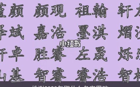 姓谢2023年取什么名字男孩