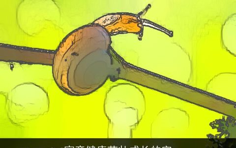 寓意健康茁壮成长的字