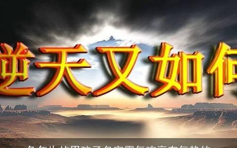 龙年生的男孩子名字霸气响亮有气势的