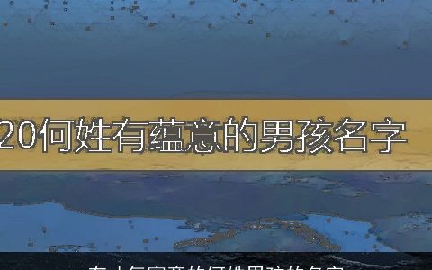 有才气寓意的何姓男孩的名字