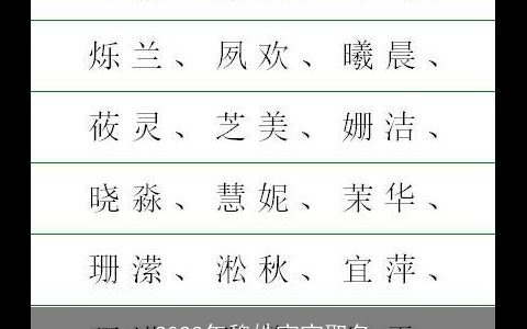 2024年魏姓宝宝取名