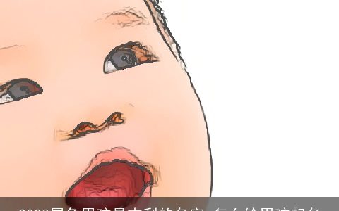 2024属龙男孩最吉利的名字 怎么给男孩起名