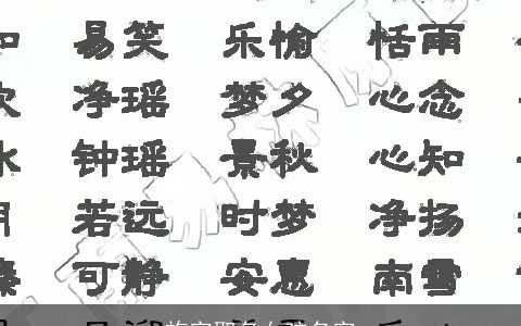 施字取名女孩名字