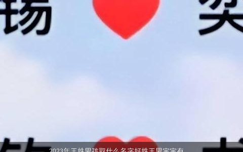 2023年王姓男孩取什么名字好姓王男宝宝有涵养名字大全 帅气有涵养的王姓男孩男宝宝名