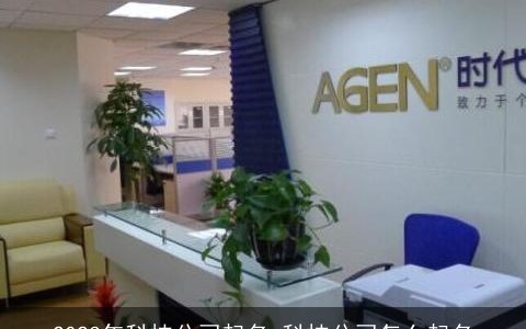 2023年科技公司起名 科技公司怎么起名