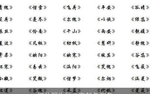 何仕朋生辰八字起名测名