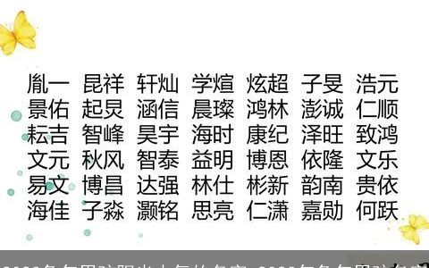 2023兔年男孩阳光大气的名字 2023年兔年男孩名字