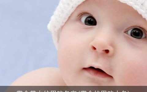 带金带火的男孩名字(带金的男孩小名)