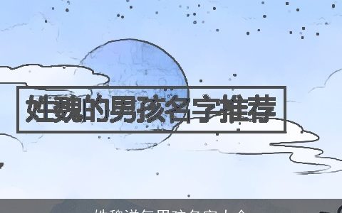 姓魏洋气男孩名字大全