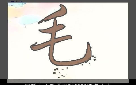 温暖人心毛姓男孩2023取名大全