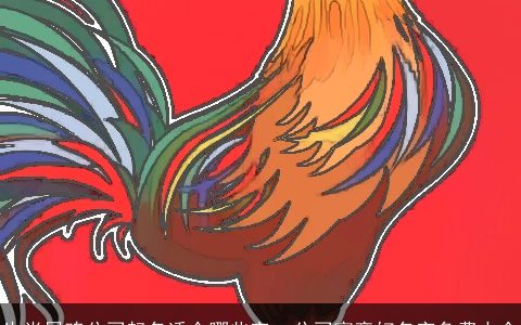 生肖属鸡公司起名适合哪些字  公司寓意好名字免费大全