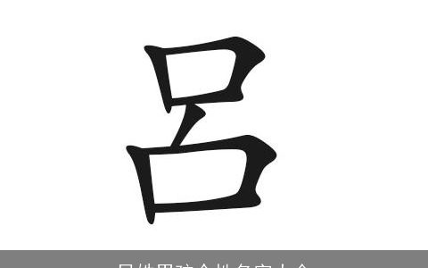吕姓男孩个性名字大全