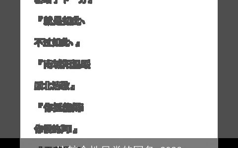 比较个性另类的网名 2024