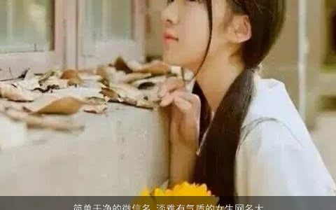 简单干净的微信名 淡雅有气质的女生网名大全2023 简单气质的微信女生网名名字大全